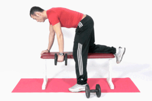 Imagen de Aproximadores de Escápula